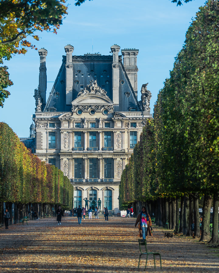 Louvre depuis les Tuileries