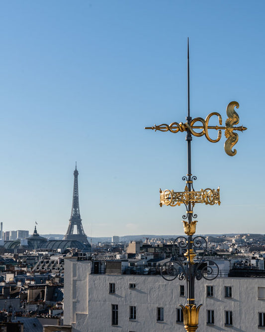 Paris vu depuis le magasin le Printemps