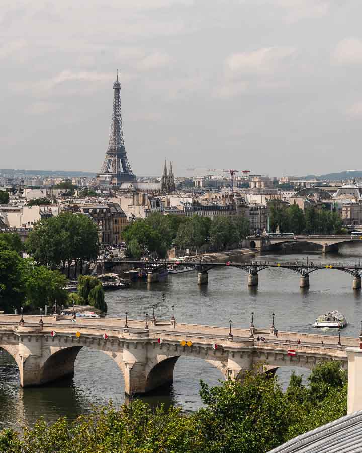 Vue plongeante sur la Sein et Paris